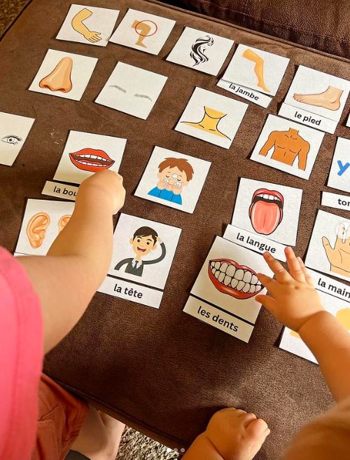 A Teacher’s Thoughts on Homeschooling