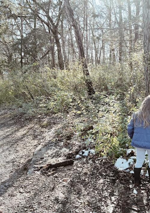 How to Survive a Bad Day of Homeschooling