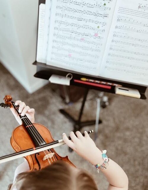 Einstein Syndrome: Homeschooling a Gifted Child