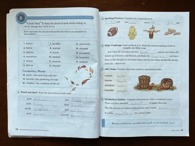 spread of Abeka's third grade spelling book